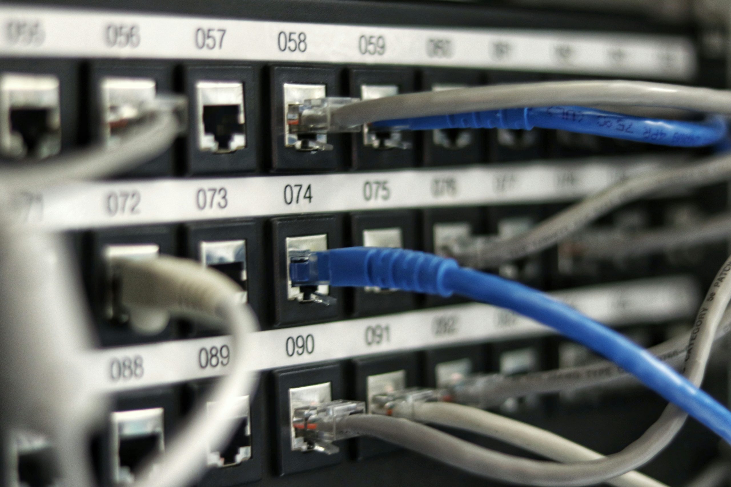 Netzwerk-Switch mit angeschlossenen Ethernet-Kabeln – zuverlässige IT-Infrastruktur für Geschäftskunden.